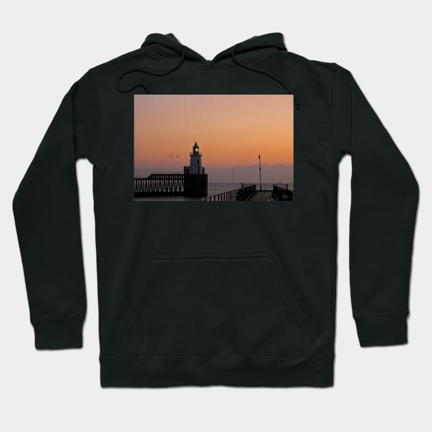 New Year's Day Sunrise  (2) Hoodie by Violaman